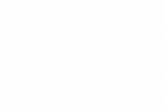 OFFICIAL-SELECTION-INTERNATIONAL-NEW-YORK-FILM-FESTIVAL-2020