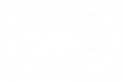 OFFICIAL-SELECTION-BEST-POSTER-Action-on-Film-MegaFest-16th17th-Annual-Film-Festival-and-Writers-Competition-20202021-2021