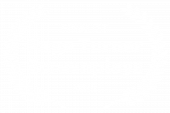 FINALIST-Page-Turner-Screenplays-2020