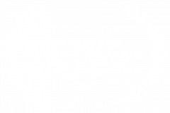OFFICIAL-SELECTION-Action-on-Film-MegaFest-16th-Annual-Film-Festival-and-Writers-Competition-2020