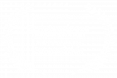 QUARTER-FINALIST-Scriptapalooza-International-Screenplay-Competition