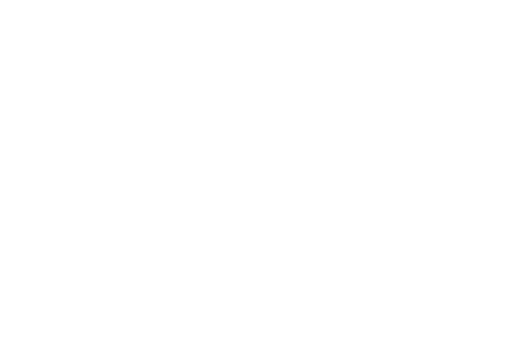 FINALIST-Page-Turner-Screenplays-2019_Black-1